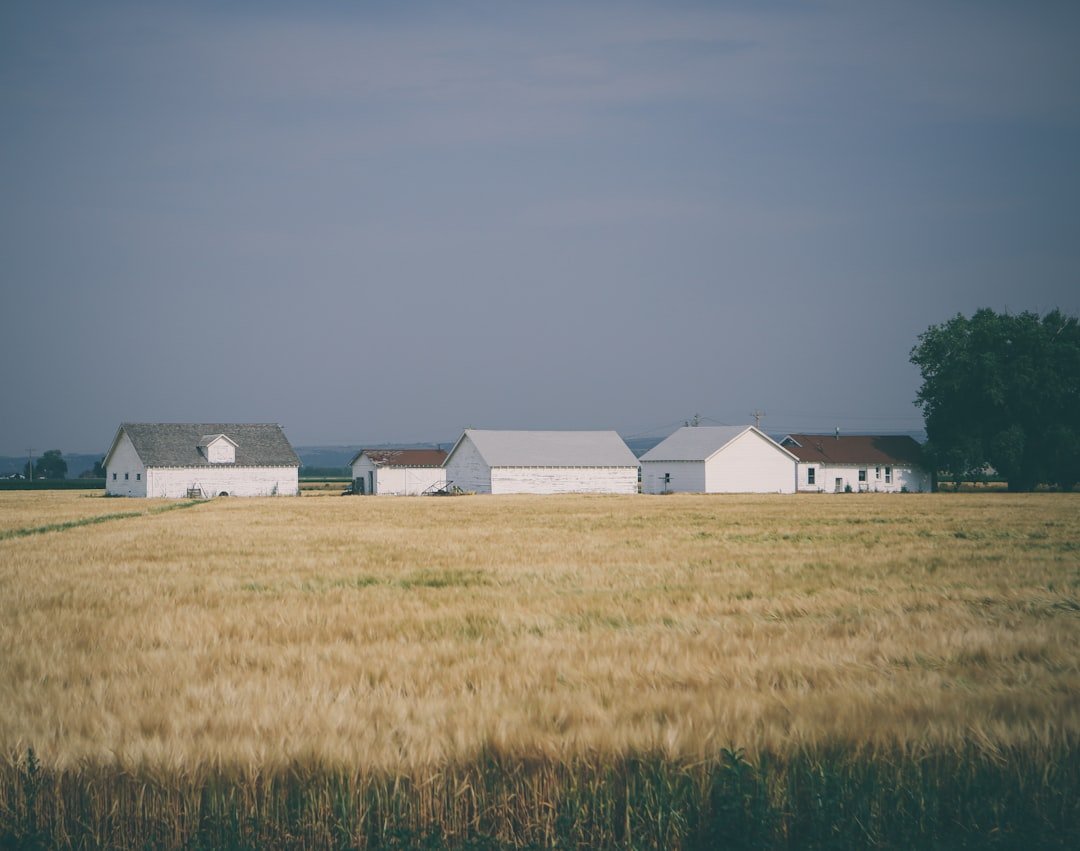 Overcoming Homestead Challenges: A Guide to Success