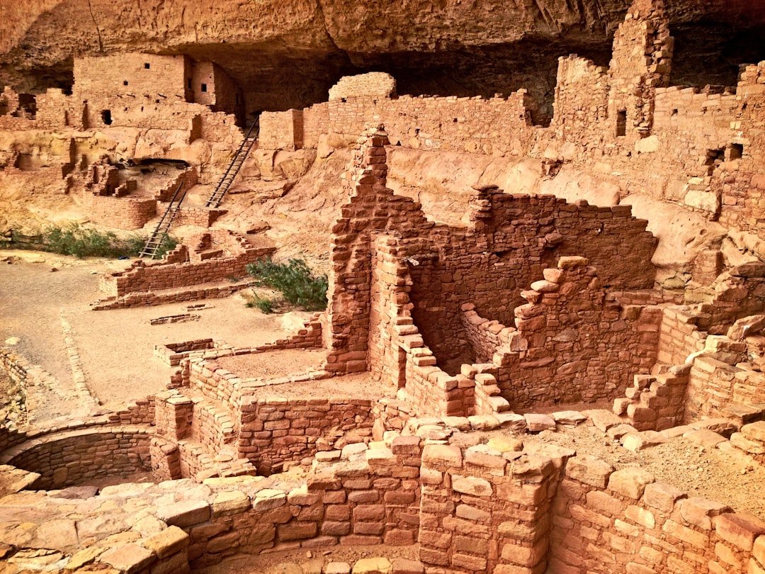 Exploring the Beauty of Natural Building